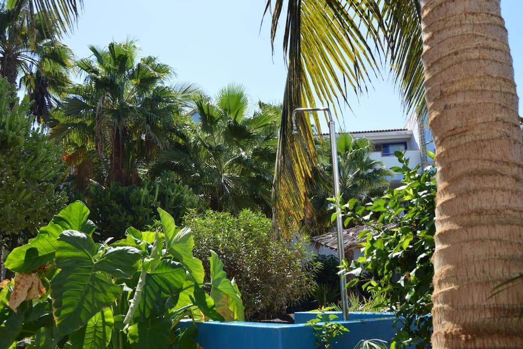 Holiday Properties Moradias Green Santa Maria Extérieur photo