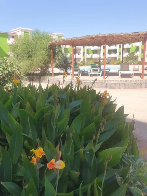 Holiday Properties Moradias Green Santa Maria Extérieur photo