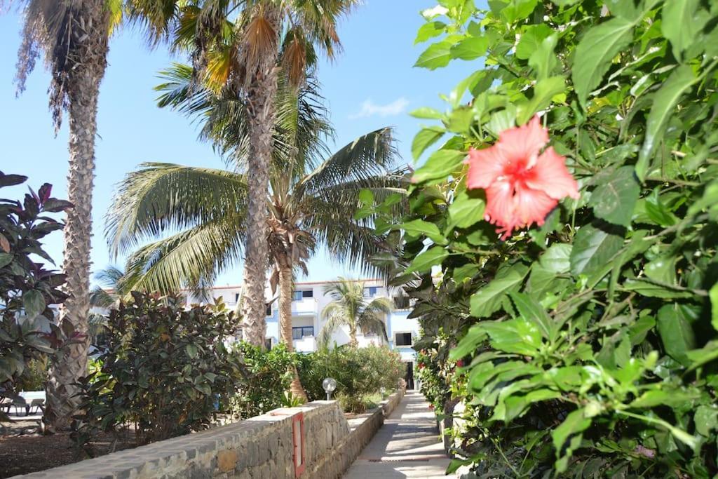 Holiday Properties Moradias Green Santa Maria Extérieur photo