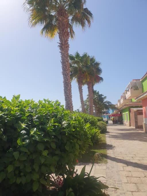 Holiday Properties Moradias Green Santa Maria Extérieur photo